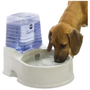 High-Efficiency Filtered Pet Water Bowl with Large Capacity and Easy Cleaning