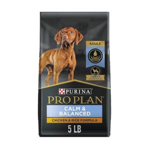 High Protein Adult Dog Food for Calm Behavior, Cognitive Health, and Digestive Support