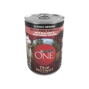 High-Protein Grain-Free Wet Dog Food with Real Beef and Wild Caught Salmon for Adult Dogs