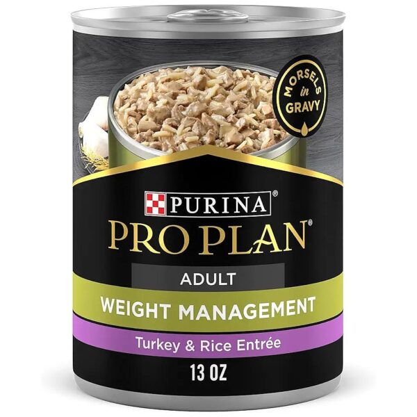 High Protein and Low Fat Wet Dog Food for Adult Canines with Real Turkey and Rice