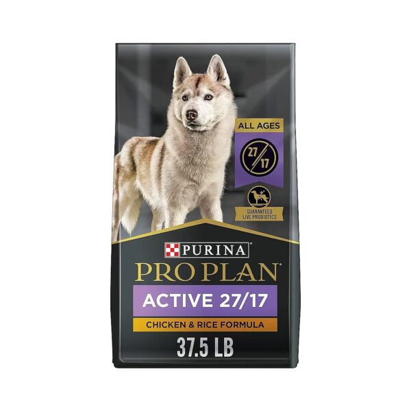 High Protein and Moderate Fat Dog Food with Probiotics for Immune and Digestive Health