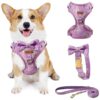 High Quality Adjustable Dog Harness Leash Collar Set For Small Medium Dogs