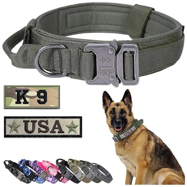 High-Quality Adjustable Green Nylon Dog Collar with Control Handle and Heavy Metal Buckle