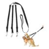 High-Quality, Adjustable, and Detachable Dog Leash for Two or Three Large or Small Breeds