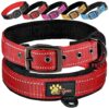 High-Quality Breathable Neoprene Padded Dog Collar for Large Dogs