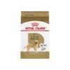 High-Quality Chicken Flavor Adult Dog Food for Purebred Golden Retrievers