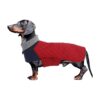 High-Quality Dachshund Winter Coat with Fleece Lining for Medium Size Dogs