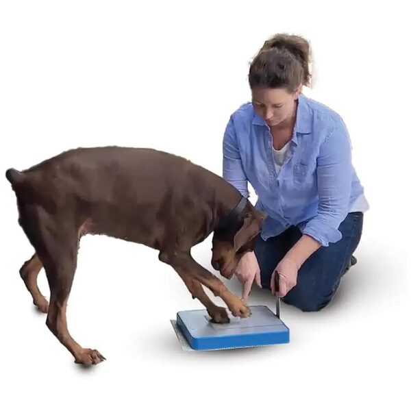 High-Quality Dog Nail File Board for Puppies and Adult Dogs