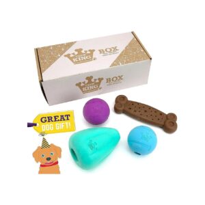 High-Quality Dog Toy Set with 3-in-1 Design for Fun and Health