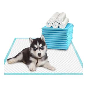 High-Quality Dog Training Pads 24x24 75 Count for Puppies and Adult Dogs