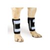 High-Quality Front Leg Support Braces for Dogs and Cats with Metal Spring Inserts