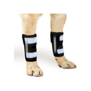 High-Quality Front Leg Support Braces for Dogs and Cats with Metal Spring Inserts