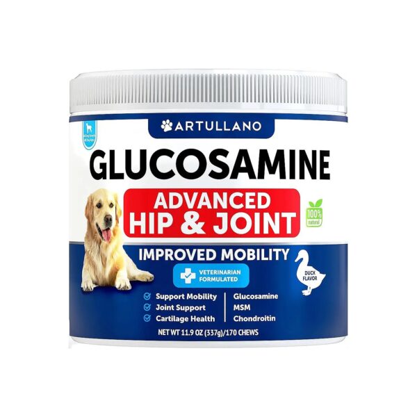 High-Quality Glucosamine Chondroitin Supplement for Dog Hip and Joint Health