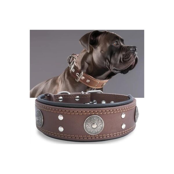 High-Quality Leather Collar for Medium and Large Breed Dogs 5-5 inches