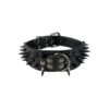 High-Quality Leather Dog Collar with Anti-Biting Sharp Spikes for Medium to Large Dogs