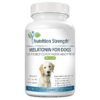 High-Quality Melatonin Tablets for Dogs, Supports Sleep and Reduces Stress