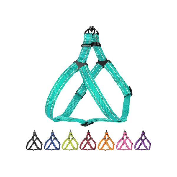 High-Quality Mint Green Nylon Harness Step-In for Small to Large Dogs