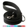 High-Quality Nylon 6FT Dog Leash for Walking and Training, Reflective Design and D Ring