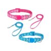 High Quality Nylon Puppy Leash and Collar Set with Adjustable Size 19-30cm Wide 5cm