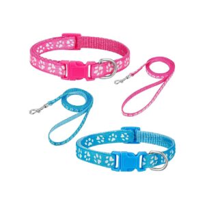 High Quality Nylon Puppy Leash and Collar Set with Adjustable Size 19-30cm Wide 5cm