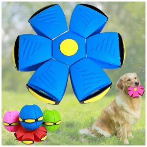 High-Quality Pet Toy Flying Saucer Ball for Dogs with Unique Features