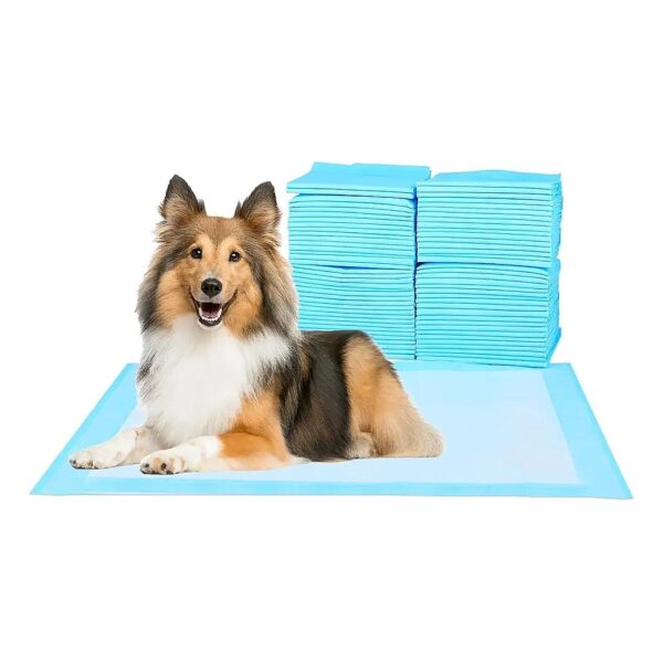 High-Quality Pet Training Pads for Dogs and Puppies, Waterproof and Absorbent