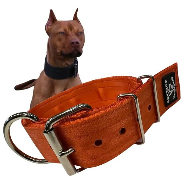 High Quality Polyester and Stainless Steel Dog Collar for Medium to Large Size Dogs