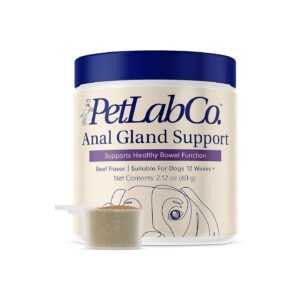 High-Quality Probiotic Powder Supports Healthy Anal Gland Health and Optimal Stool