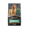 High-Quality Protein Puppy Food with Chicken and Rice Formula