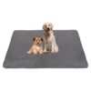 High-Quality Reusable Dog Training Pads for Puppy Growth and Development Protection