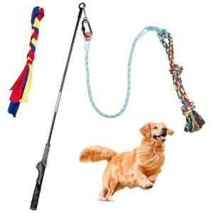 High-Quality Stainless Steel Flirt Pole for Small Medium Large Dogs Chase and Tug of War