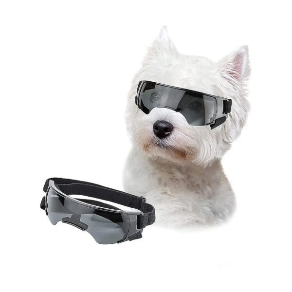 High-Quality Sunglasses for Small Breed Dogs - Durable and Functional Eye Protection