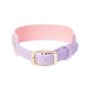 High Quality Waterproof PVC Dog Collar with Adjustable Buckle for Small Dogs