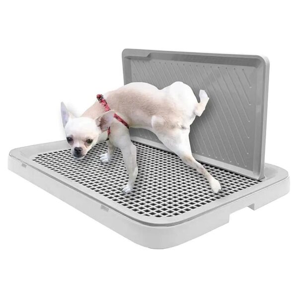 High-Quality and Durable Dog Potty Training Tray for New Puppies and Small Breeds