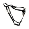 High-Tech Black Biothane Biothane Harness with All-Weather Durability