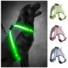 High-Vis LED Dog Harness for Enhanced Nighttime Safety and Visibility