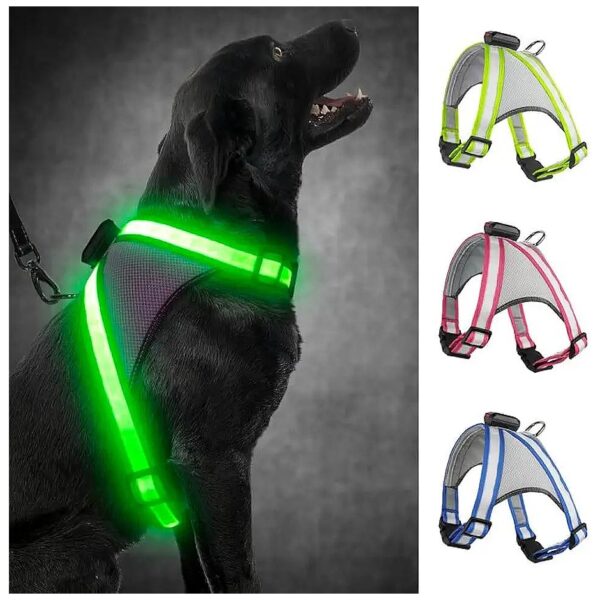 High-Vis LED Dog Harness for Enhanced Nighttime Safety and Visibility