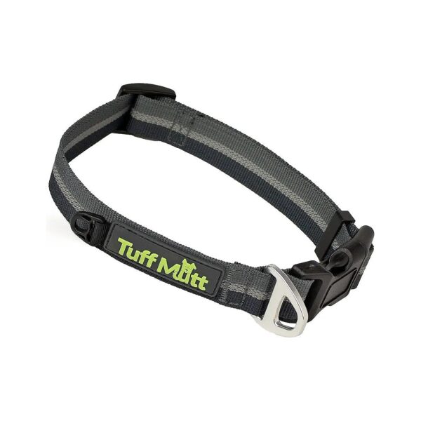 High Visibility Gray Dog Collars for Medium and Large Dogs