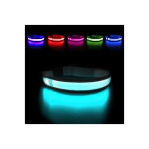 High-Visibility LED Dog Collars for Pet Safety - Glow in the Dark for Enhanced Visibility