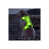 High Visibility LED Dog Harness for Small Medium Large Dogs with Soft and Cozy Design