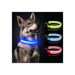 High Visibility Light Up Dog Collar with Reflective Edging for Small Dogs