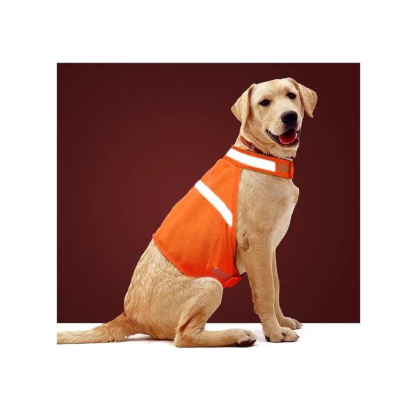 High Visibility Orange Dog Jacket for Small Medium Large Dogs X-Large Reflective