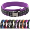 High Visibility Reflective Nylon Dog Collar with Adjustable Buckle and Soft Padded Lining