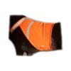 High-Visibility Vest with Radiant Orange Color for Small Dog Walking Safety