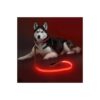 High-Viz Red Nylon LED Dog Leash with Micro USB Rechargeable Battery for Increased Safety