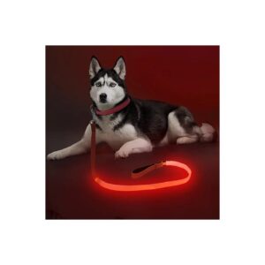 High-Viz Red Nylon LED Dog Leash with Micro USB Rechargeable Battery for Increased Safety