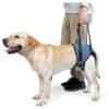 Hind Leg Support Dog Sling for Large Elderly Dogs Arthritis Recovery Assistance