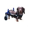 Hind Legs Support Dog Wheelchair for Small Dogs 2-30+ Pounds Adjustable and Customizable