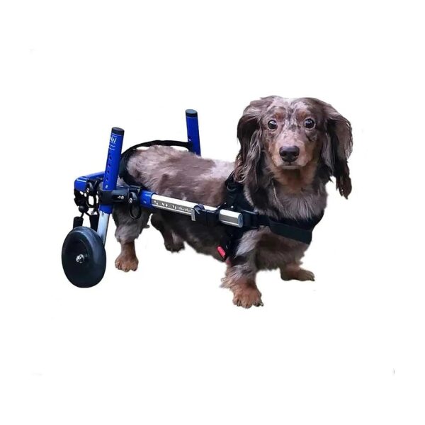 Hind Legs Support Dog Wheelchair for Small Dogs 2-30+ Pounds Adjustable and Customizable