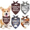 Holiday Outfit for Small Medium Large Dogs with 4 Pack Thanksgiving Bandanas